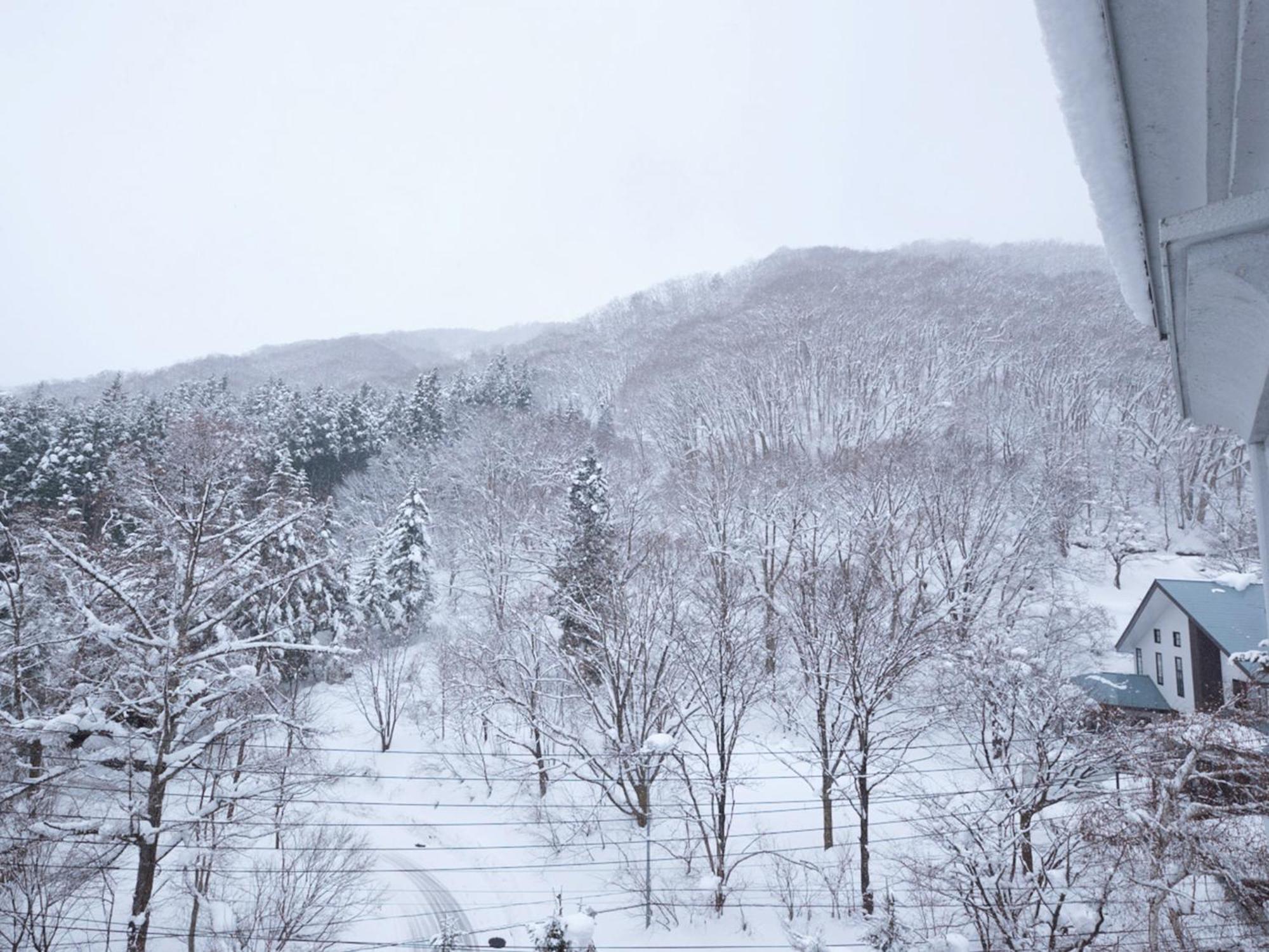Hotel Abest Happo Aldea Hakuba Exterior photo