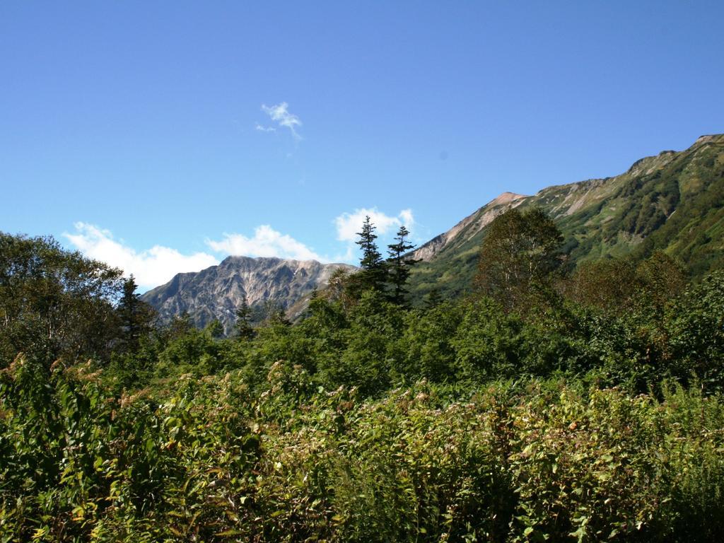 Hotel Abest Happo Aldea Hakuba Exterior photo