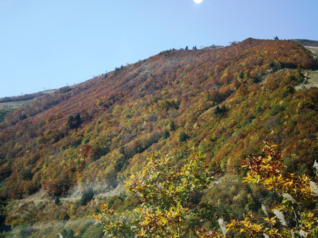 Hotel Abest Happo Aldea Hakuba Exterior photo