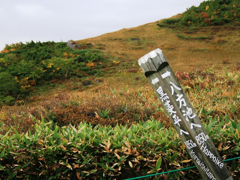 Hotel Abest Happo Aldea Hakuba Exterior photo